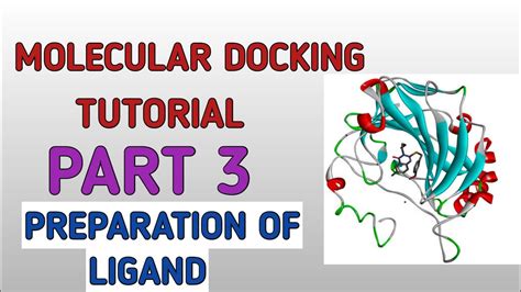 molecular docking tutorial